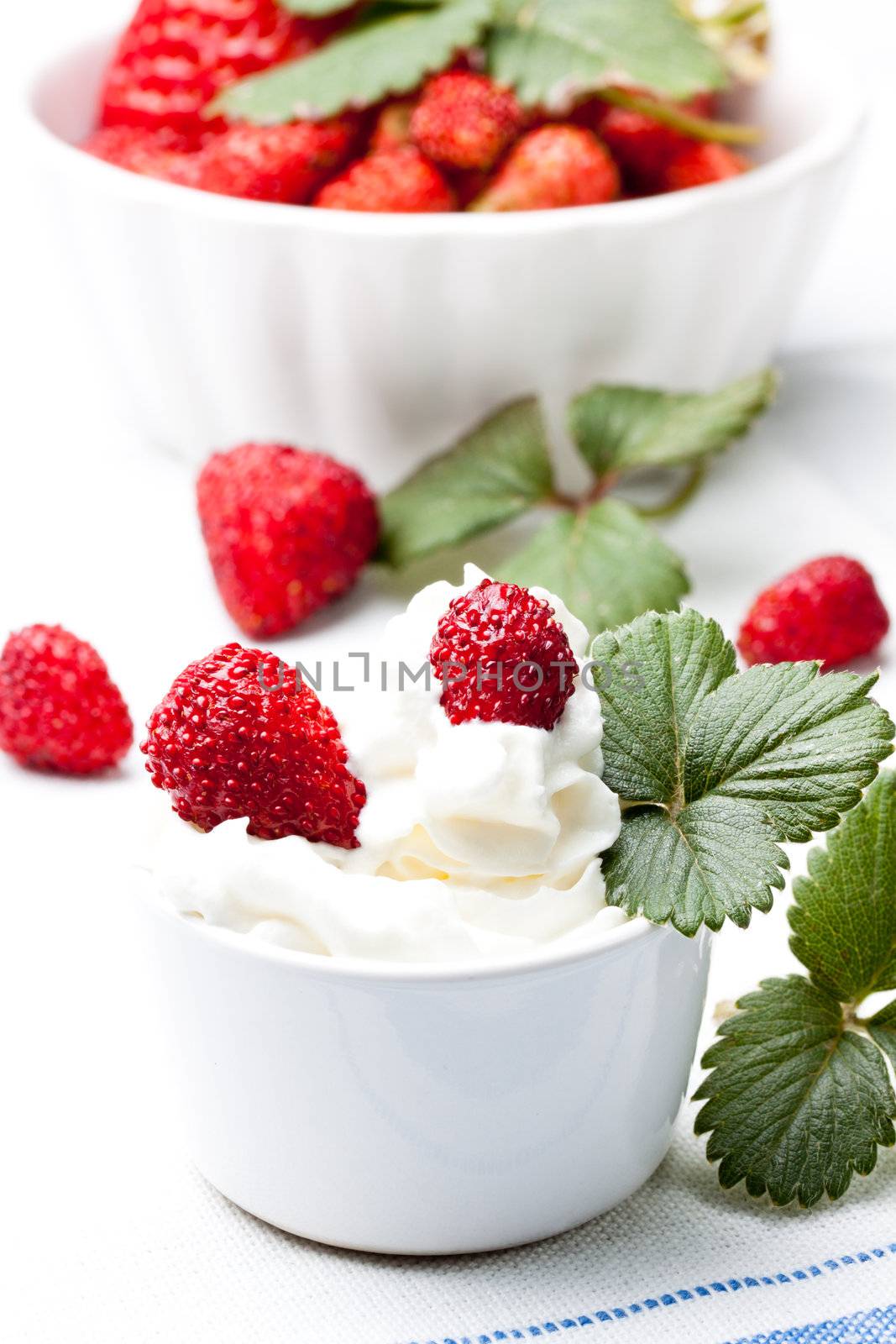fresh strawberry with whipped cream