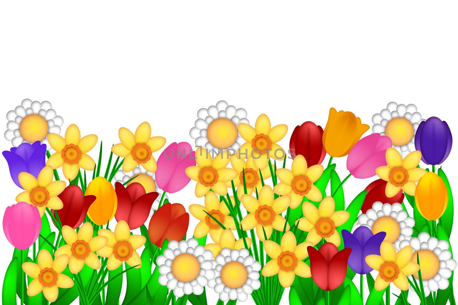 Spring Flowers Illustration by jpldesigns