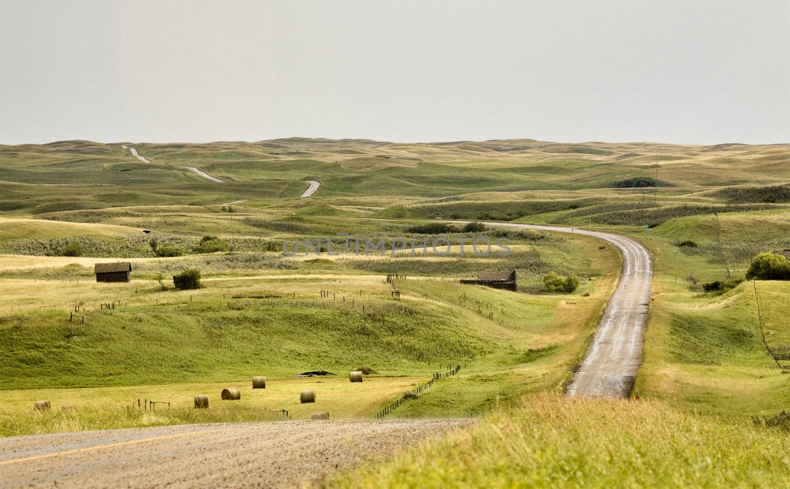 Rural Saskatchewan in summer with crops Canada