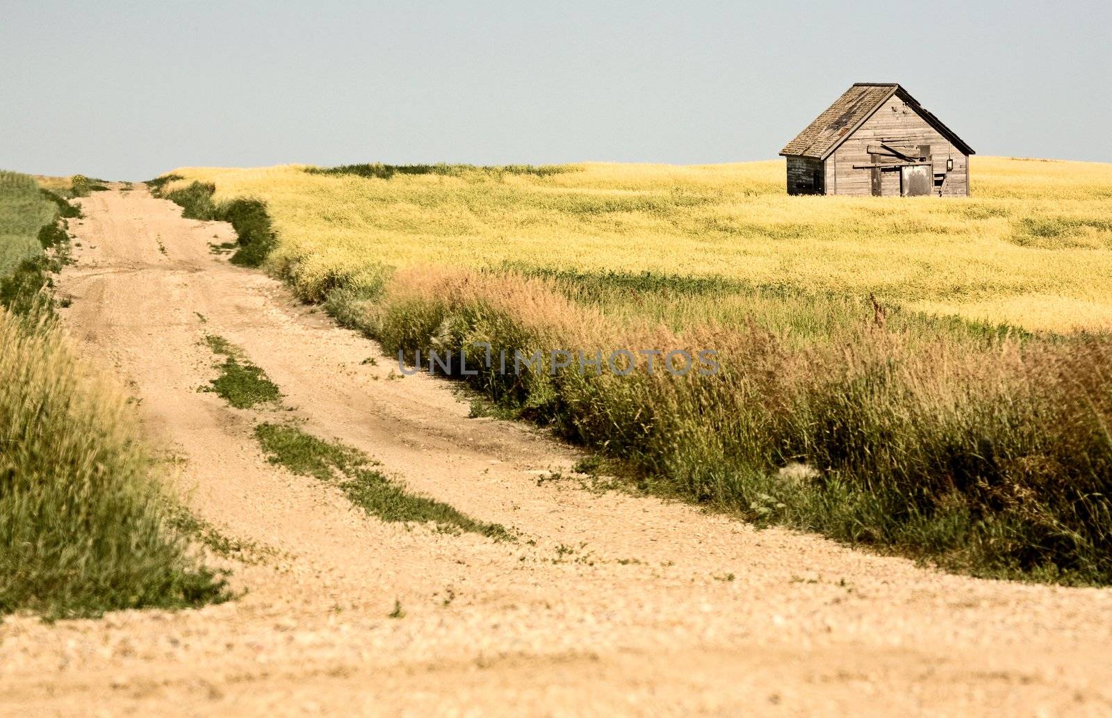 Rural Saskatchewan in summer with crops Canada