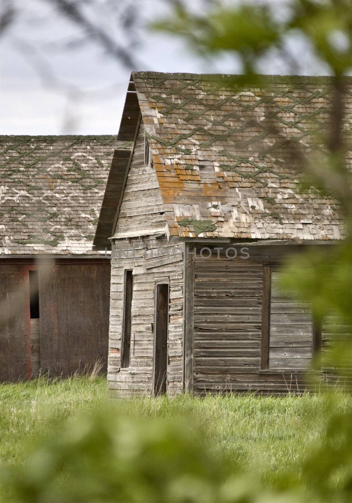 Rural Saskatchewan by pictureguy