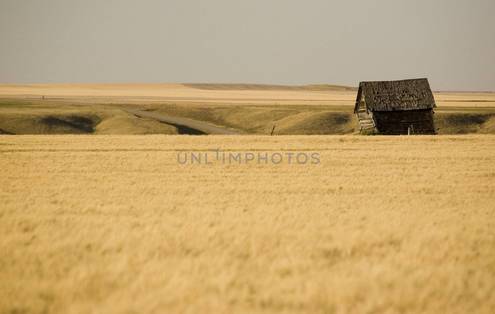 Rural Saskatchewan by pictureguy