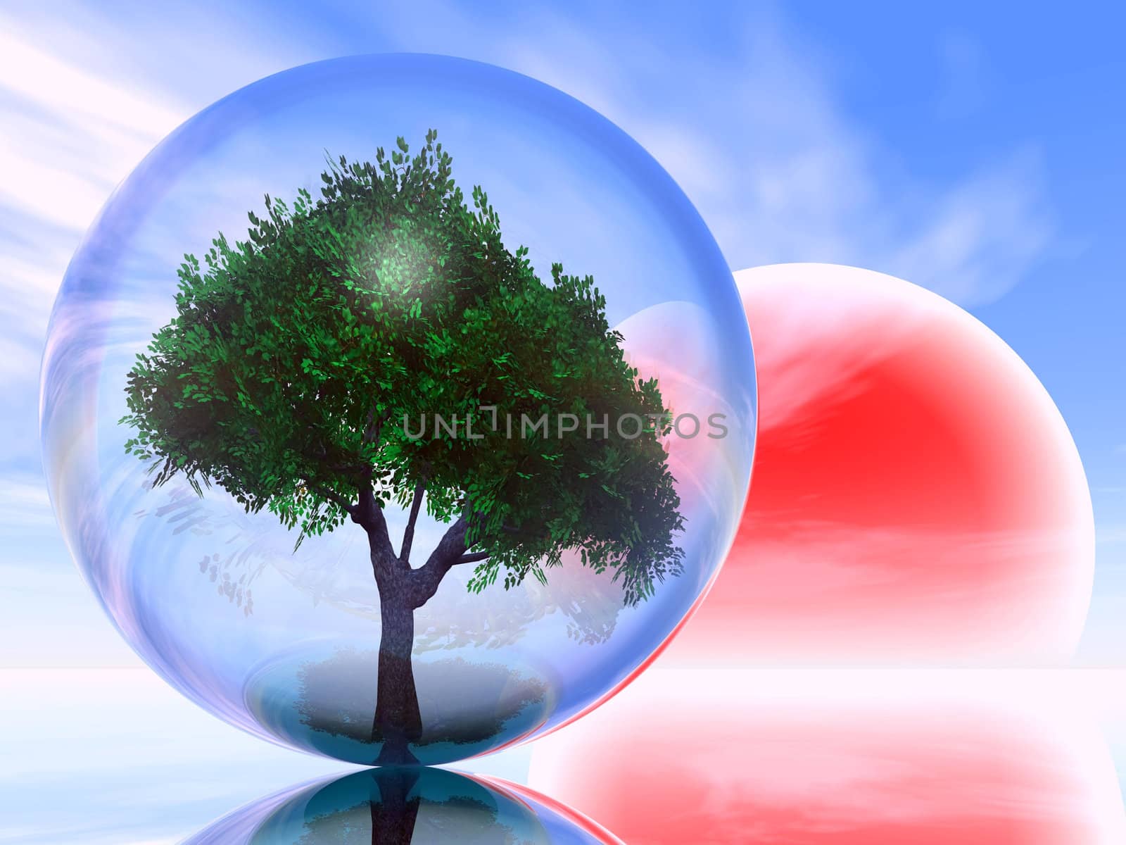 Tree in bubble by njaj