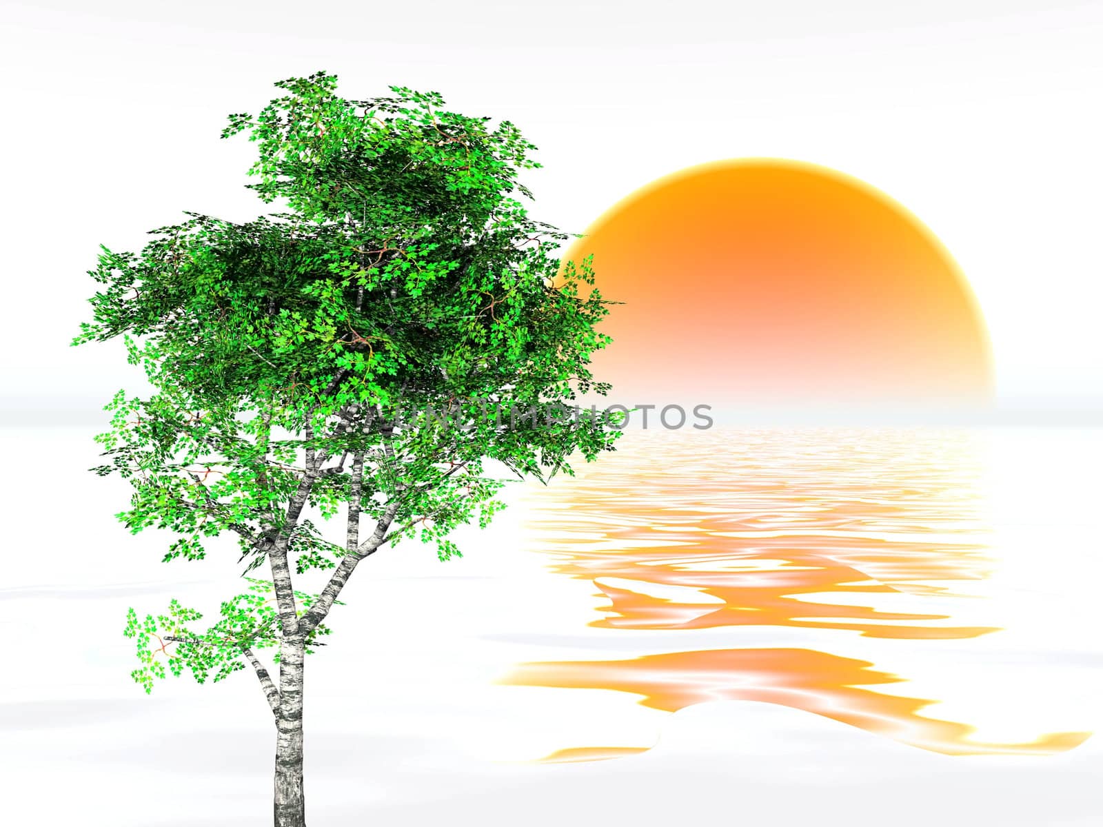 tree and sun by njaj