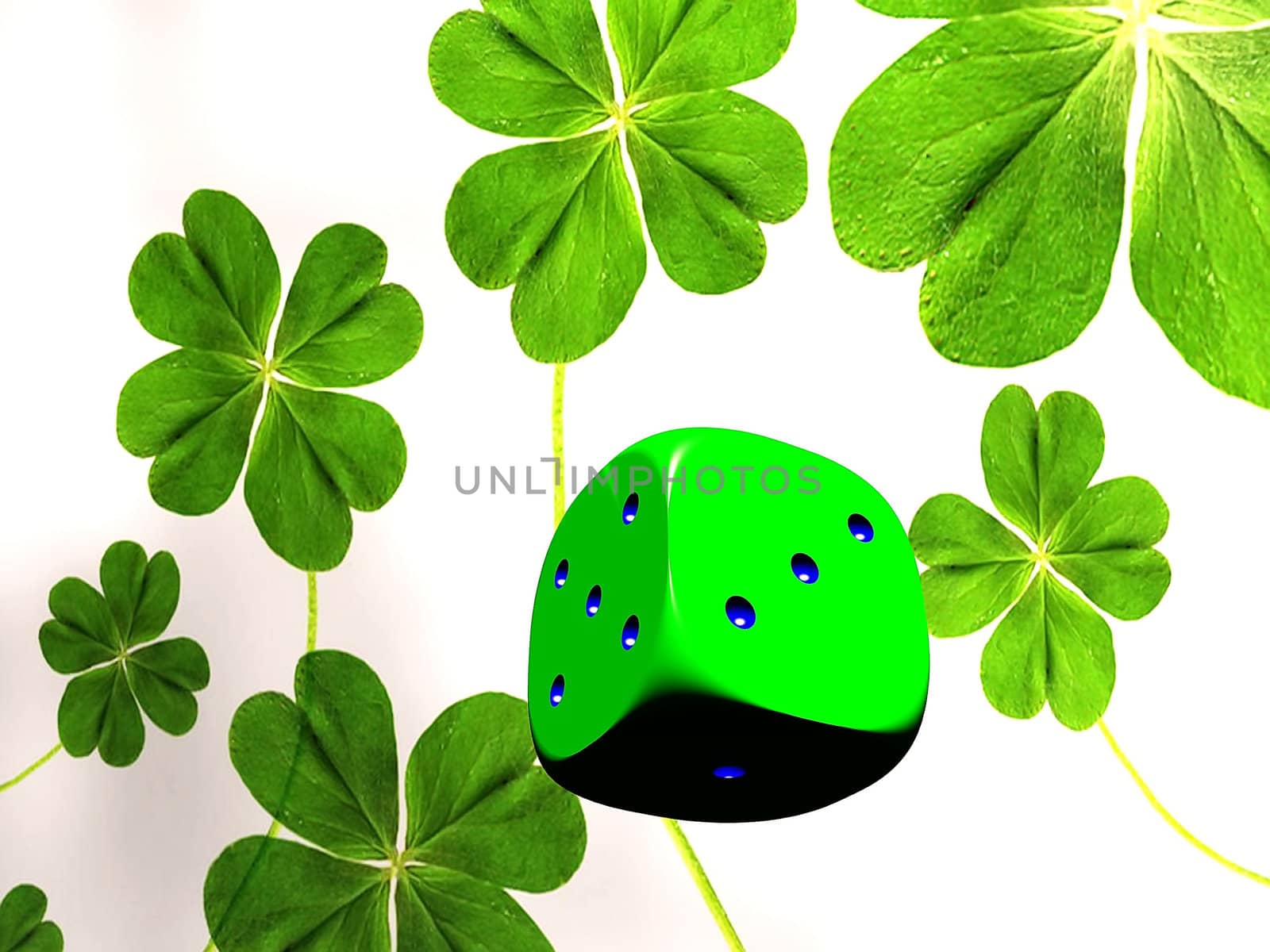 the dice and four leaf clover by njaj