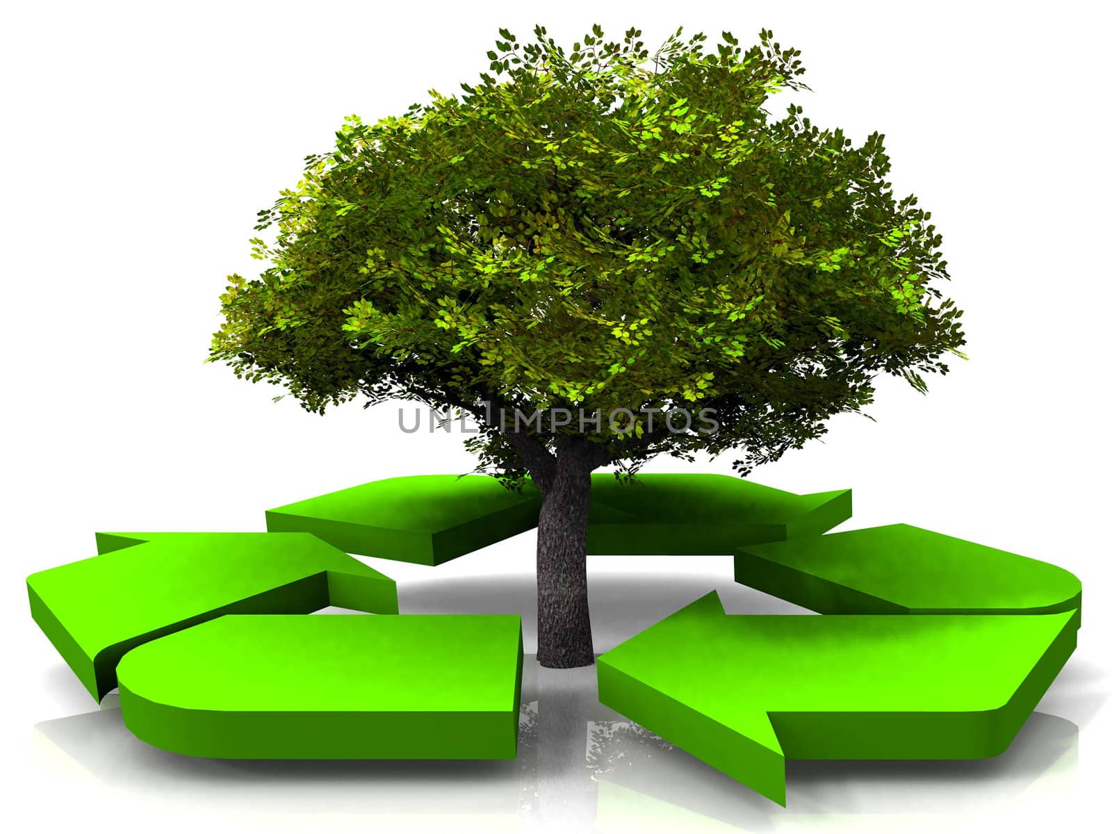 tree and recycling by njaj