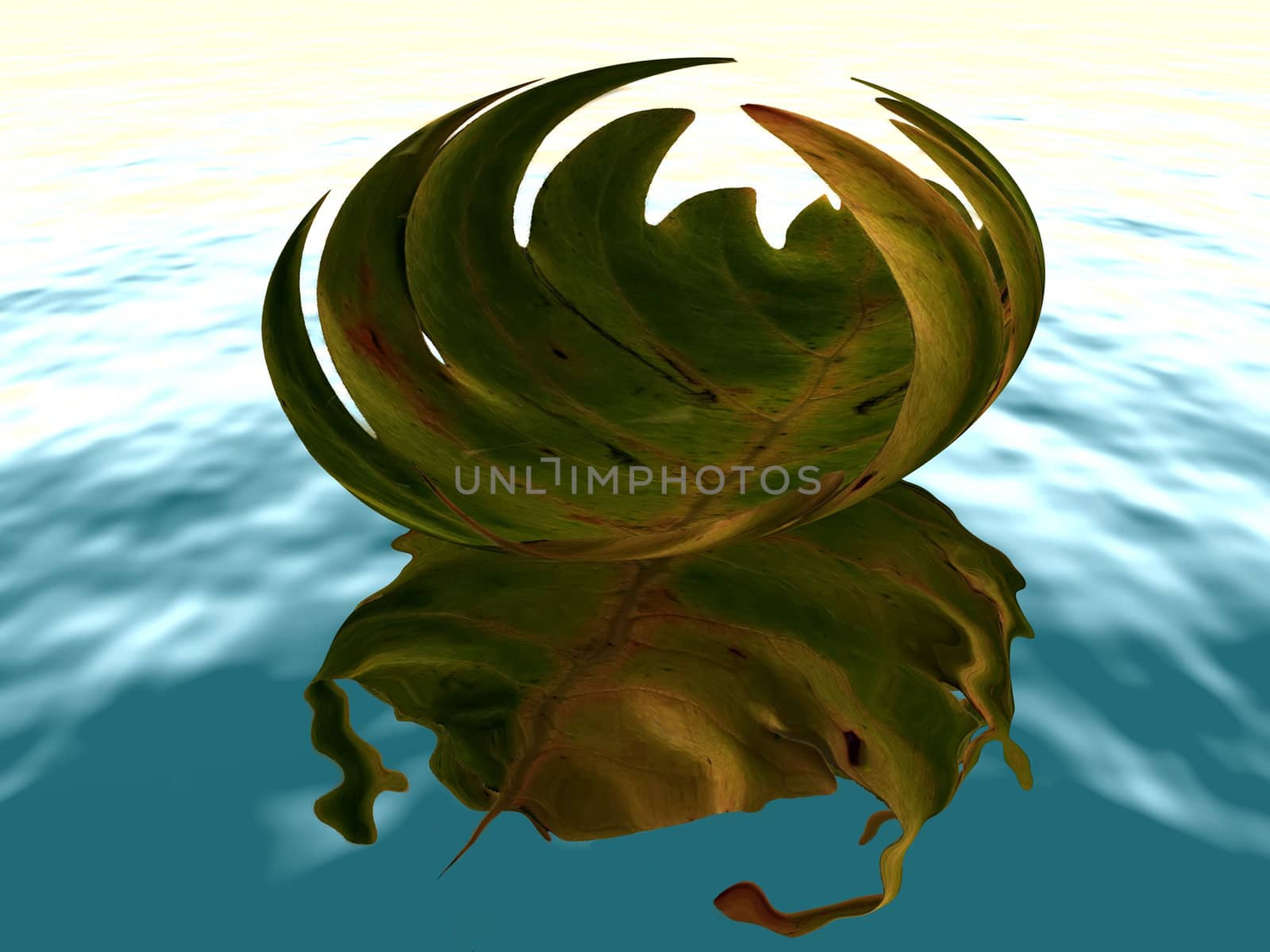 leaf on water by njaj