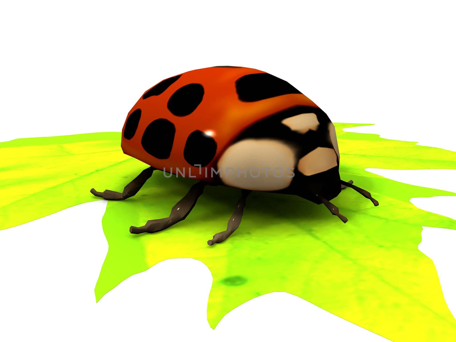 ladybug on a leaf by njaj
