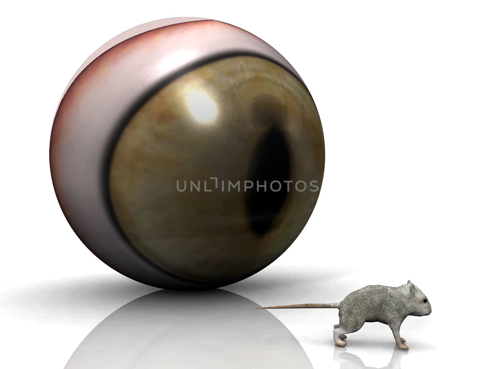 mouse and eye by njaj