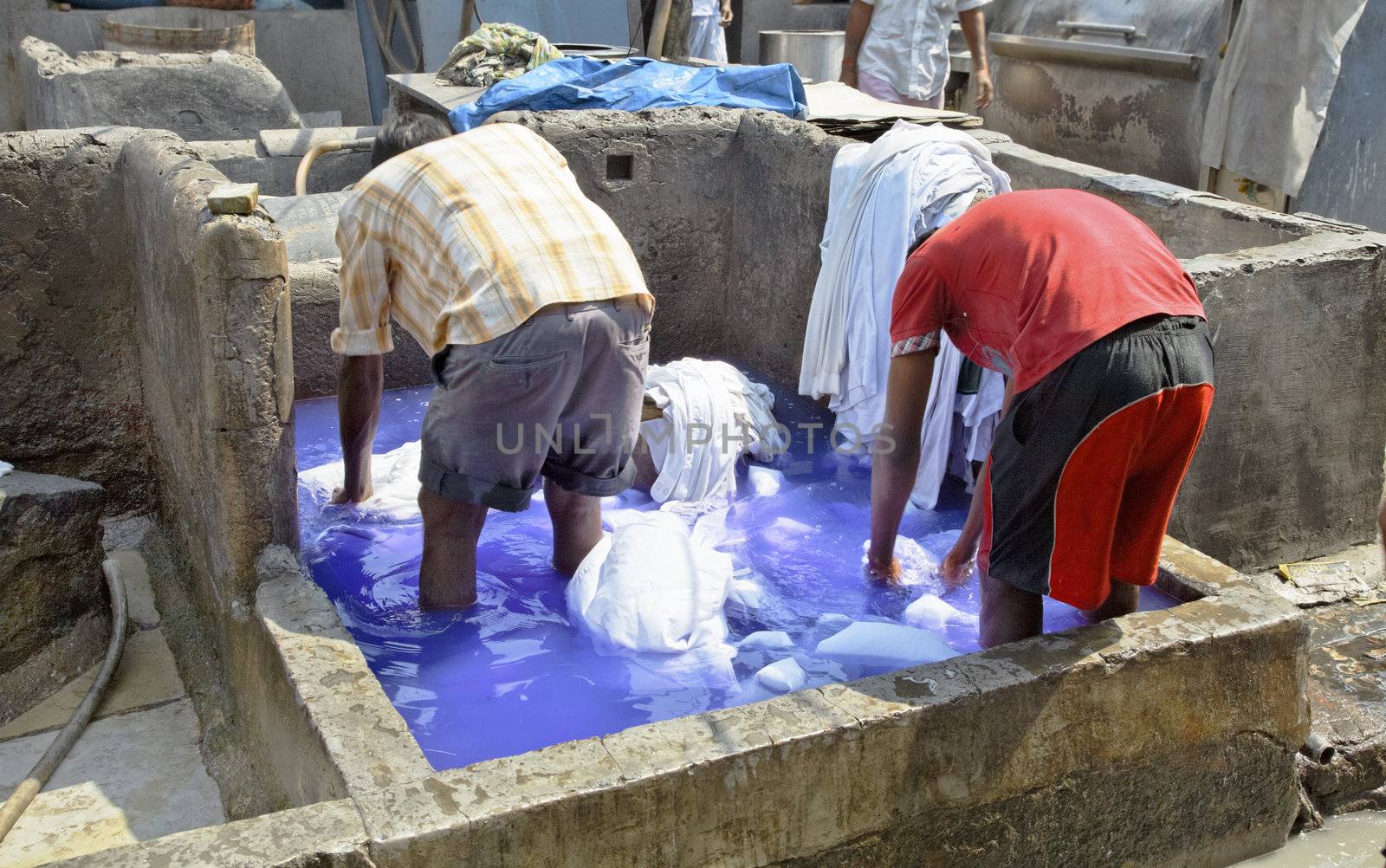 Mumbai, India, Dhobhi Ghat, workmen hand washing dirty laundry in a water bath