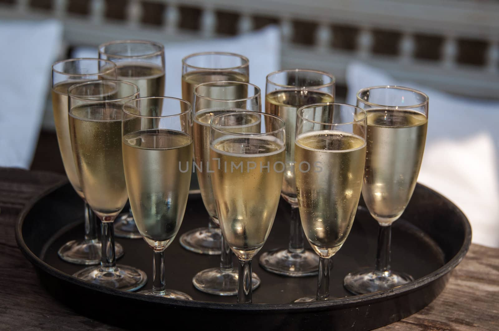 tray of filled champagne glasses ready for serving