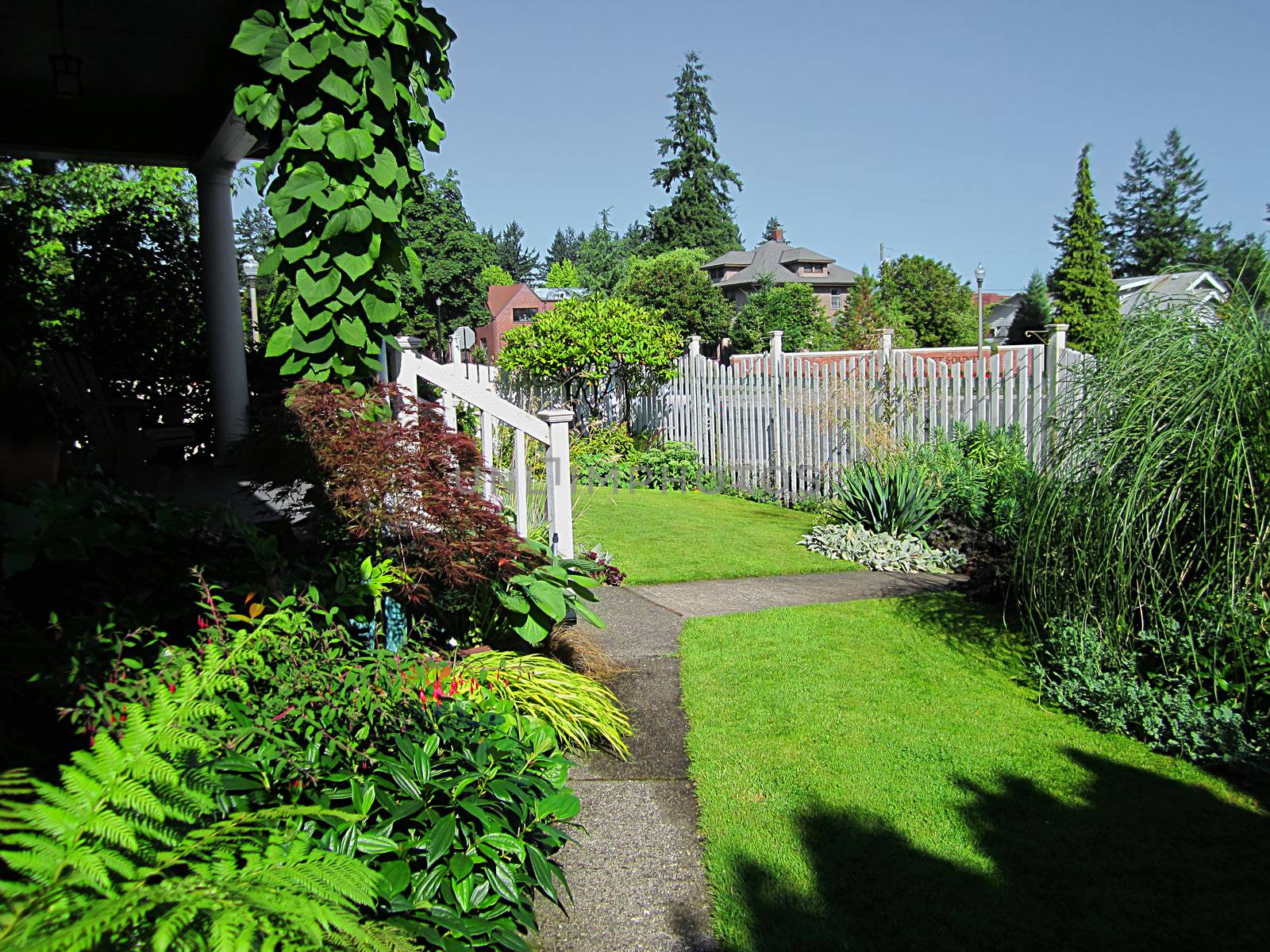 A photograph of landscaping at a house.