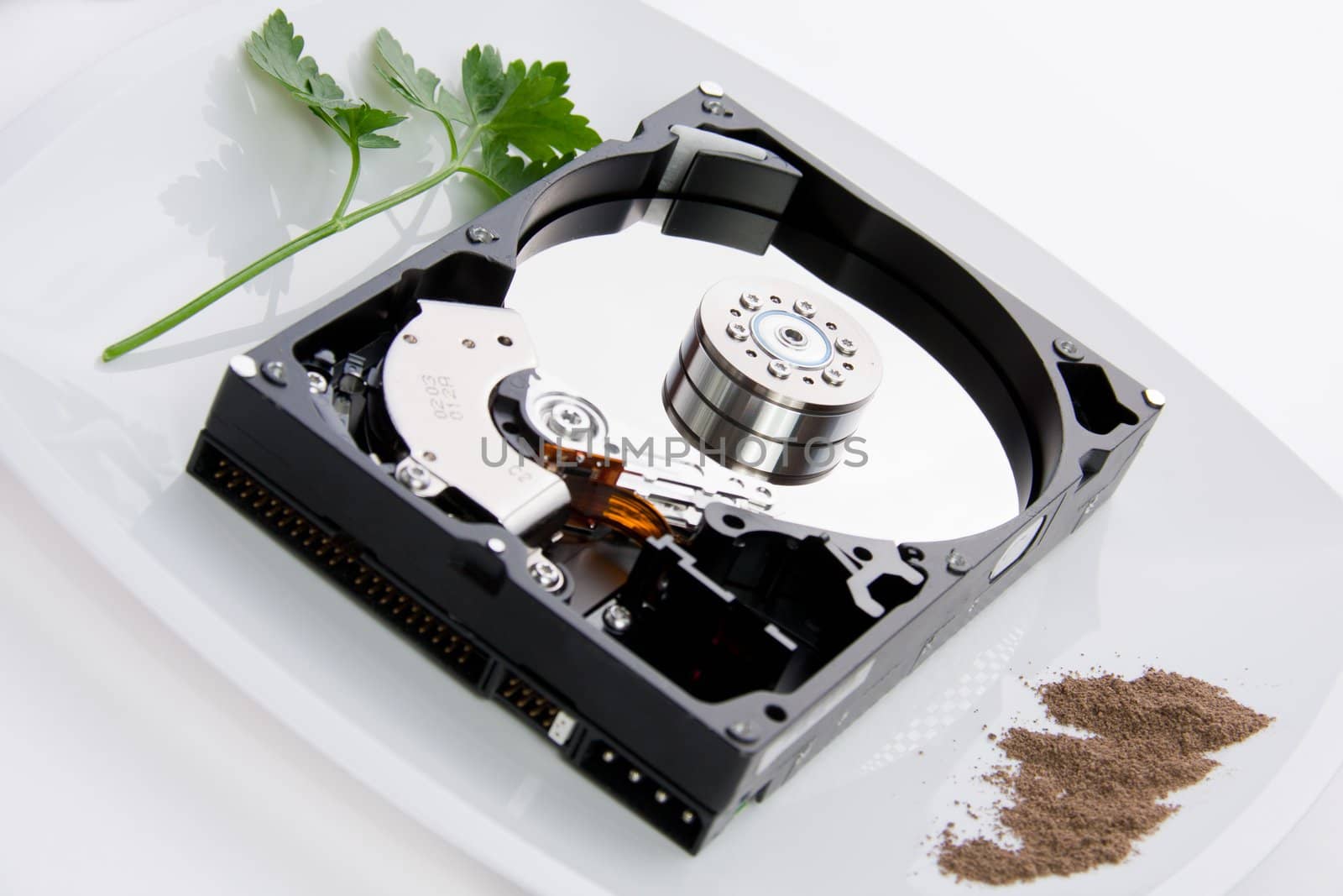 hard drive on the dining plate with seasoning and herbs