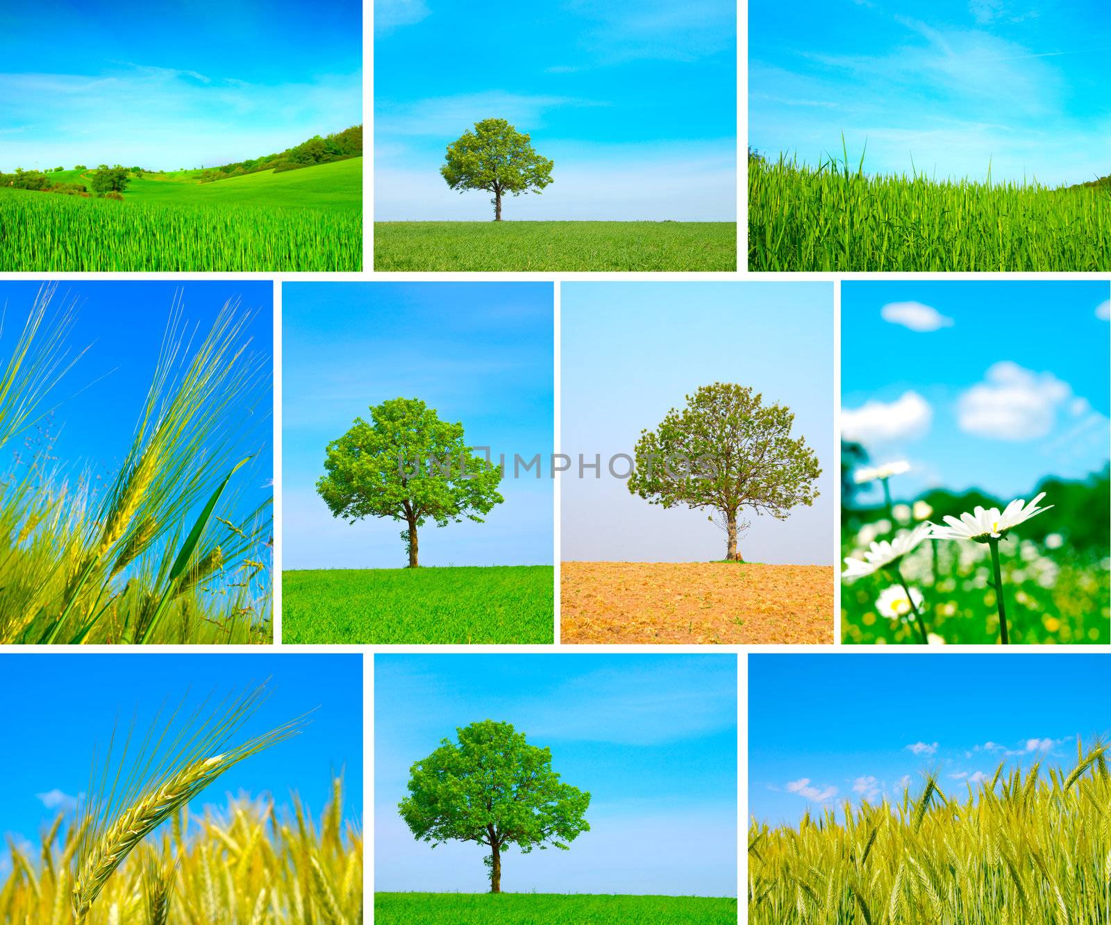 assortment of spring and summer landscape by motorolka
