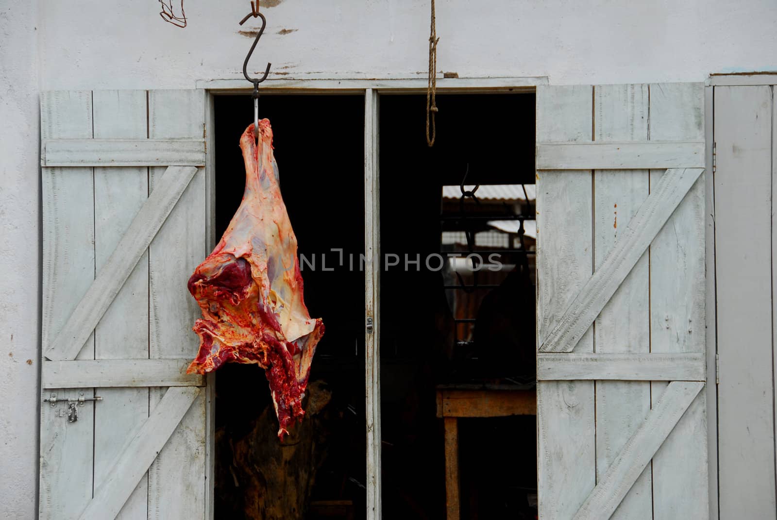 butchers by africa