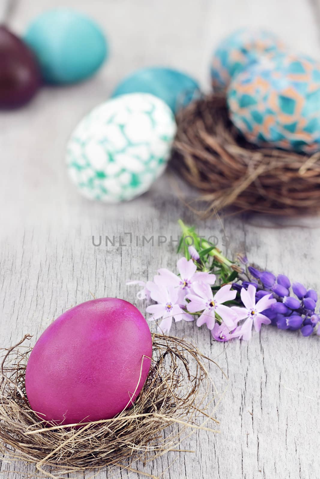 Beautiful Easter egg in a small nest with spring flowers and more eggs in background. Selective focus on egg in foreground.
