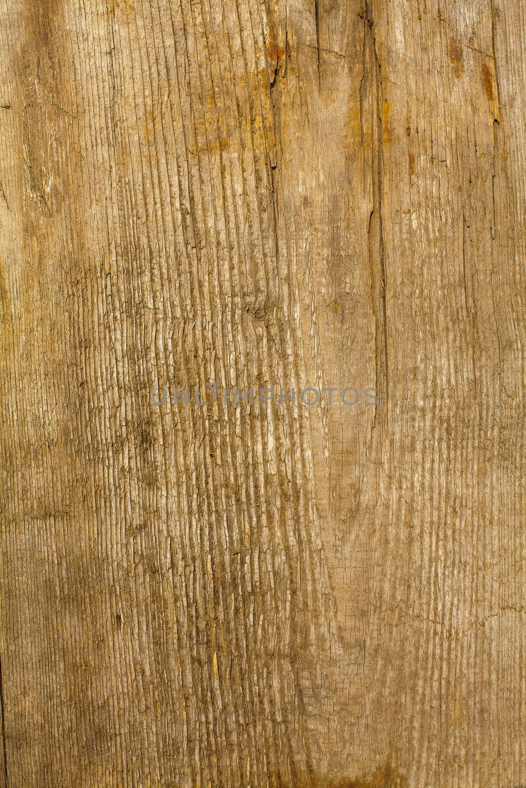 the brown wood texture with natural patterns