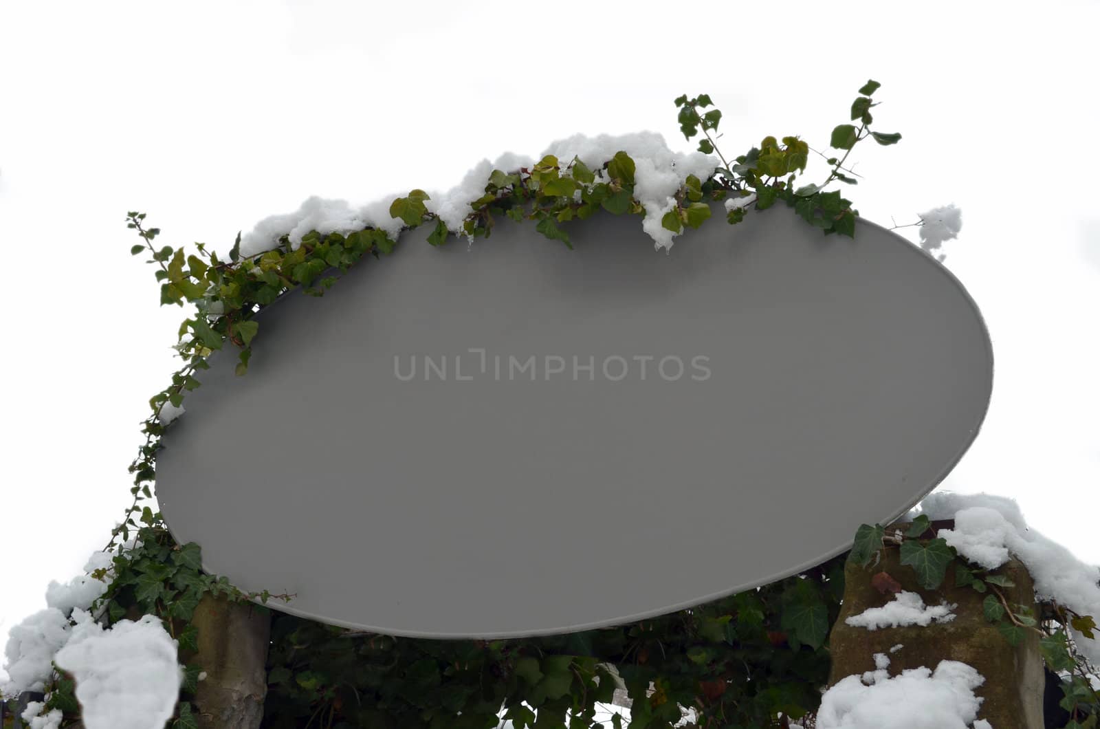 Empty grey sign with snow covered leaves all around