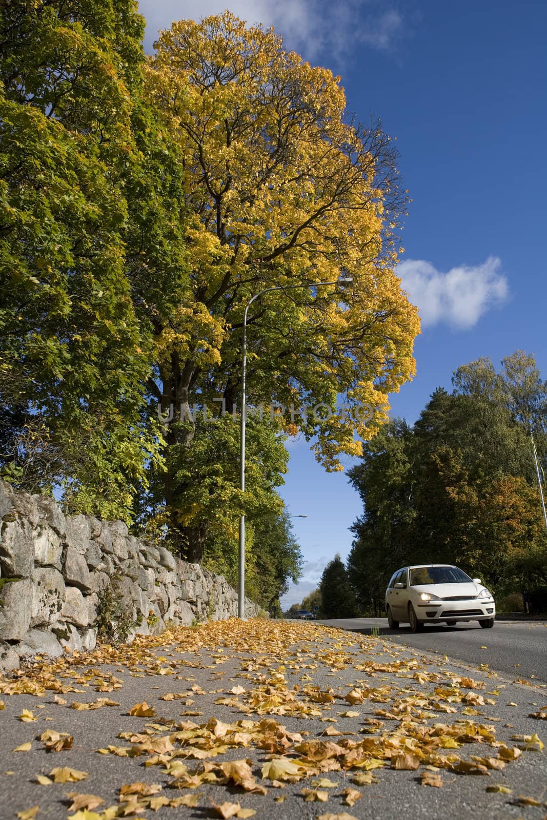 Car in Autumn by gemenacom