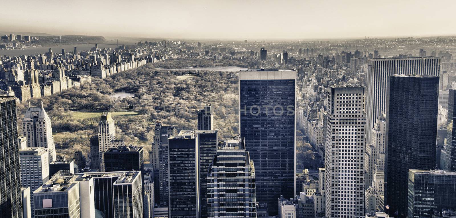 Central Park and surrounding Skyscrapers in Winter by jovannig