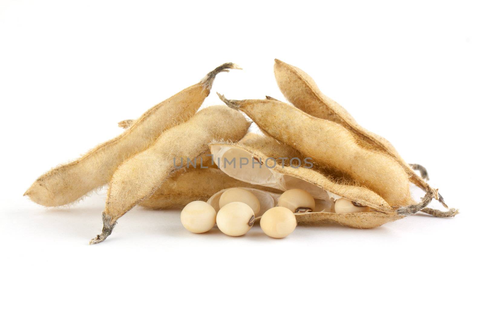 Soy pods isolated on white background