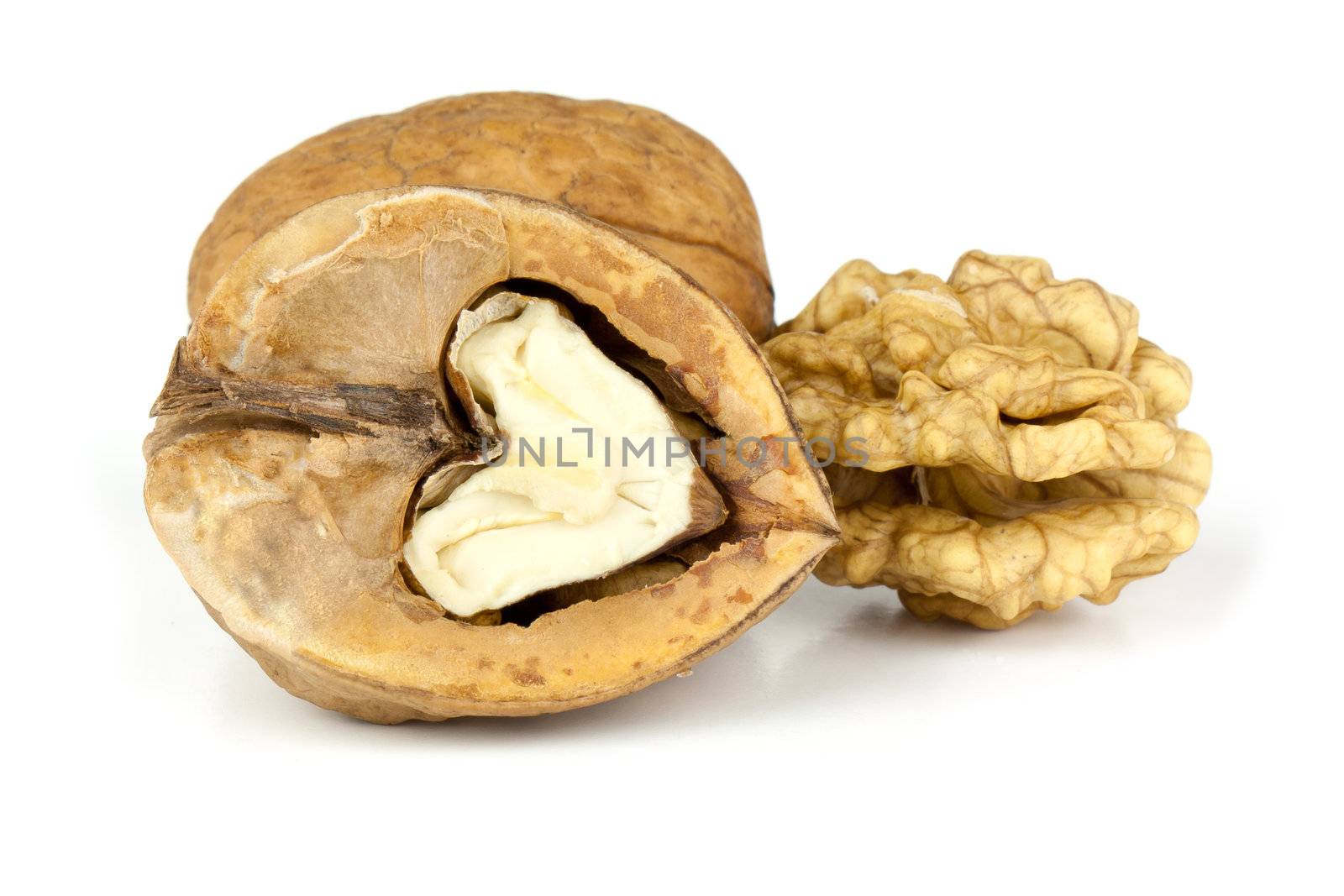 Walnut isolaten on a white background