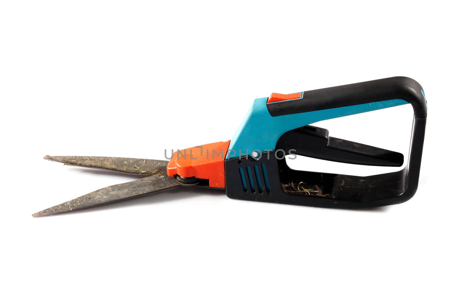 dirty, used  professional gardener's scissors