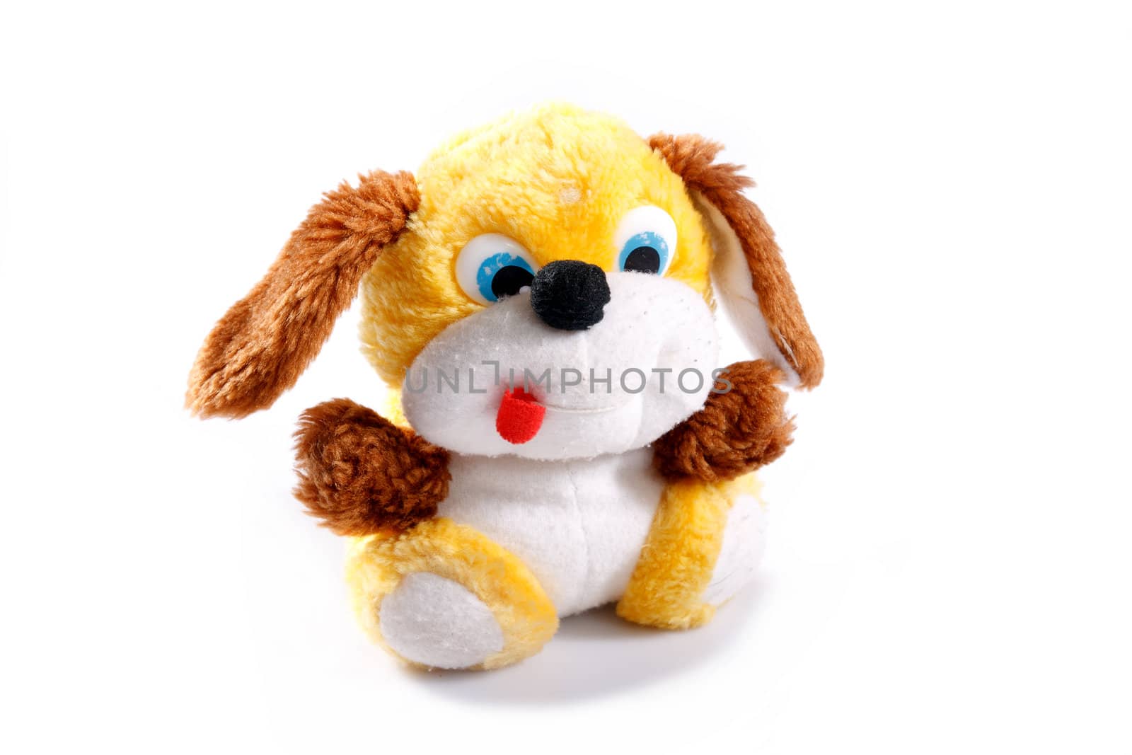 old children's toy dog on white background