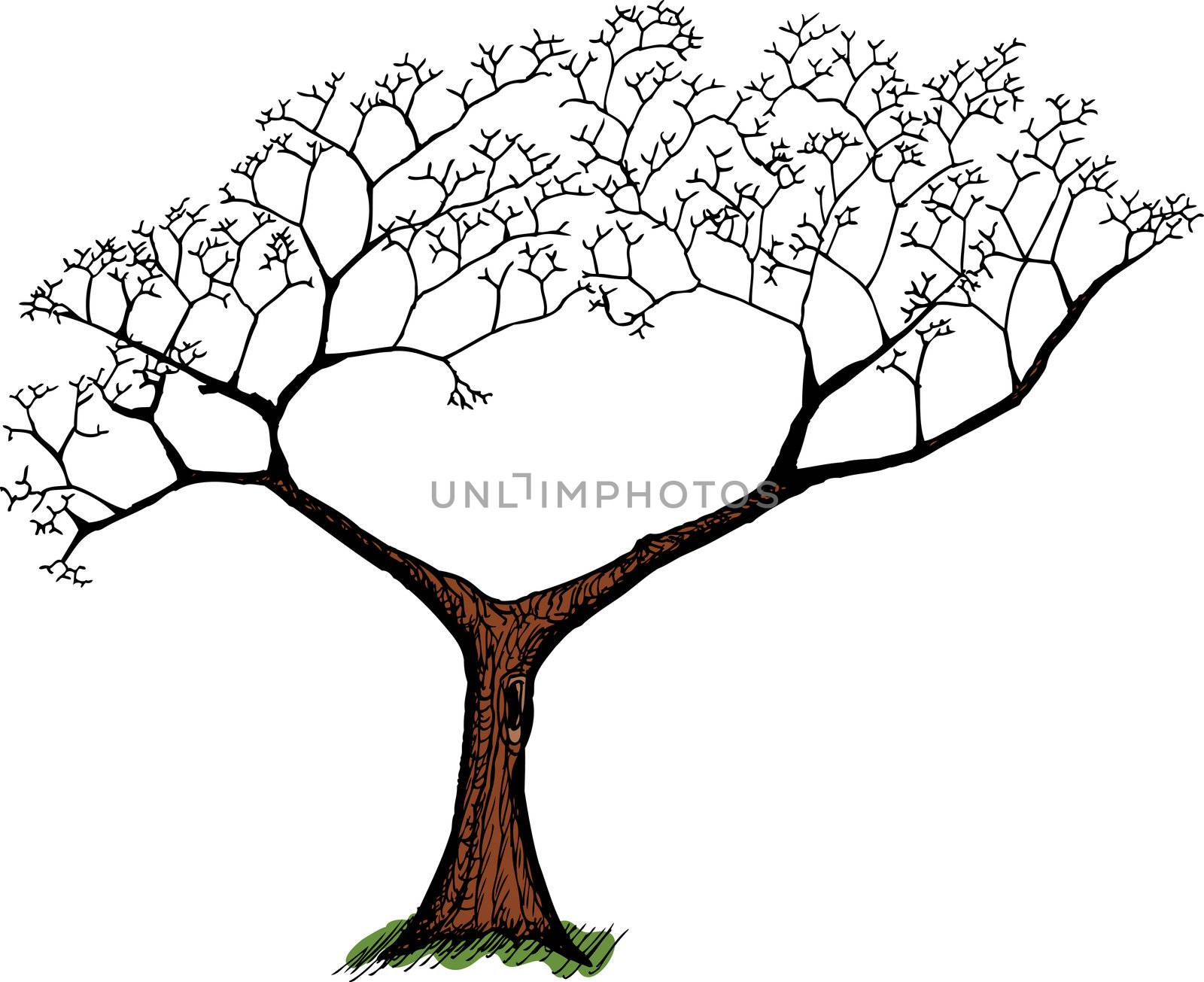 Cartoon of old tree with green grass over white
