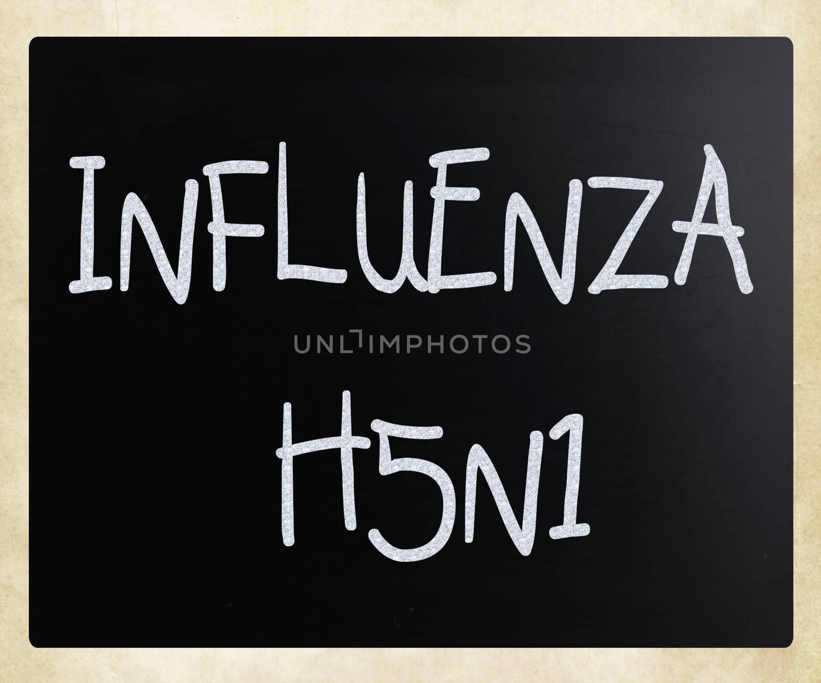 Images of the H5N1 Influenza Virus