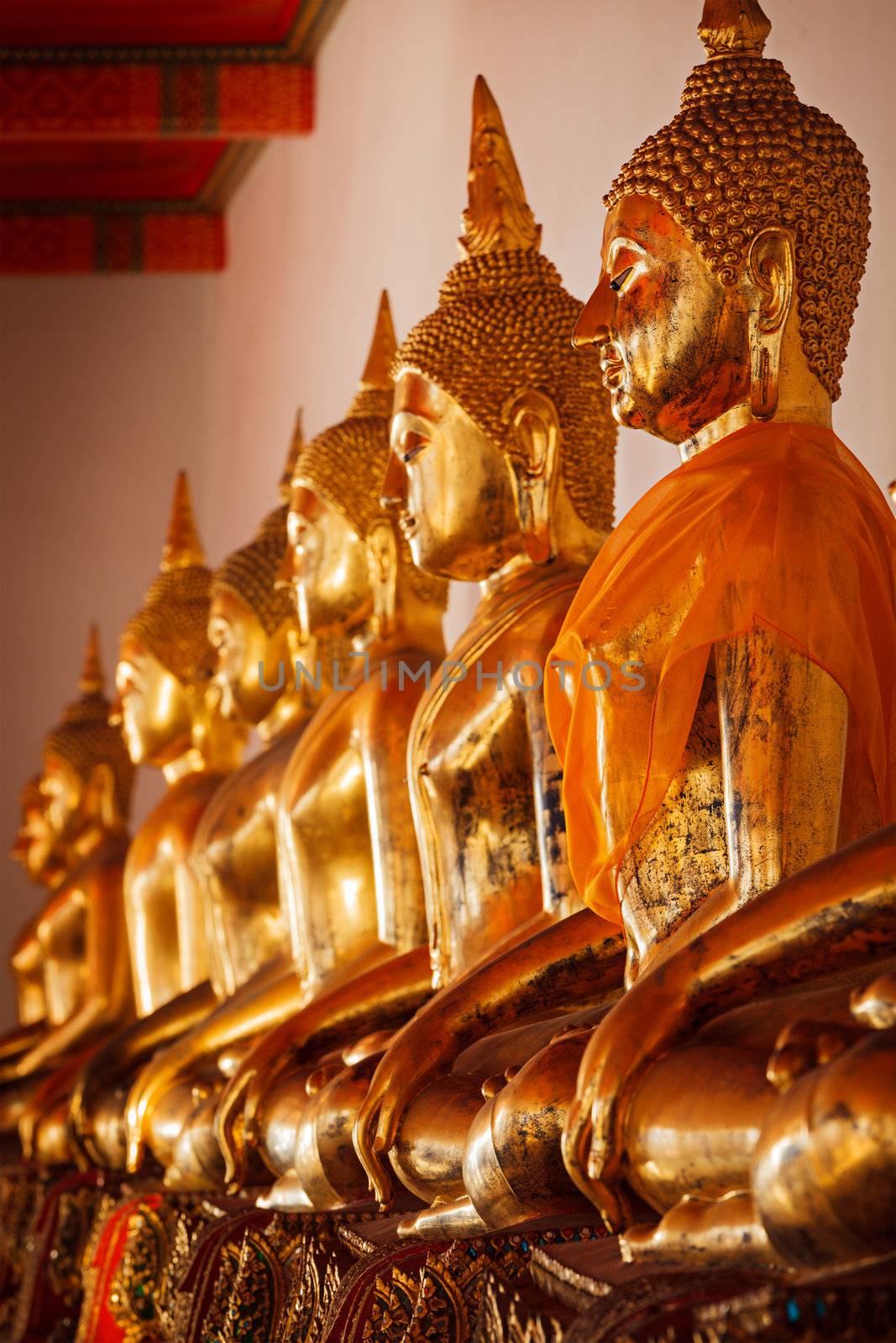Sitting Buddha statues, Thailand by dimol