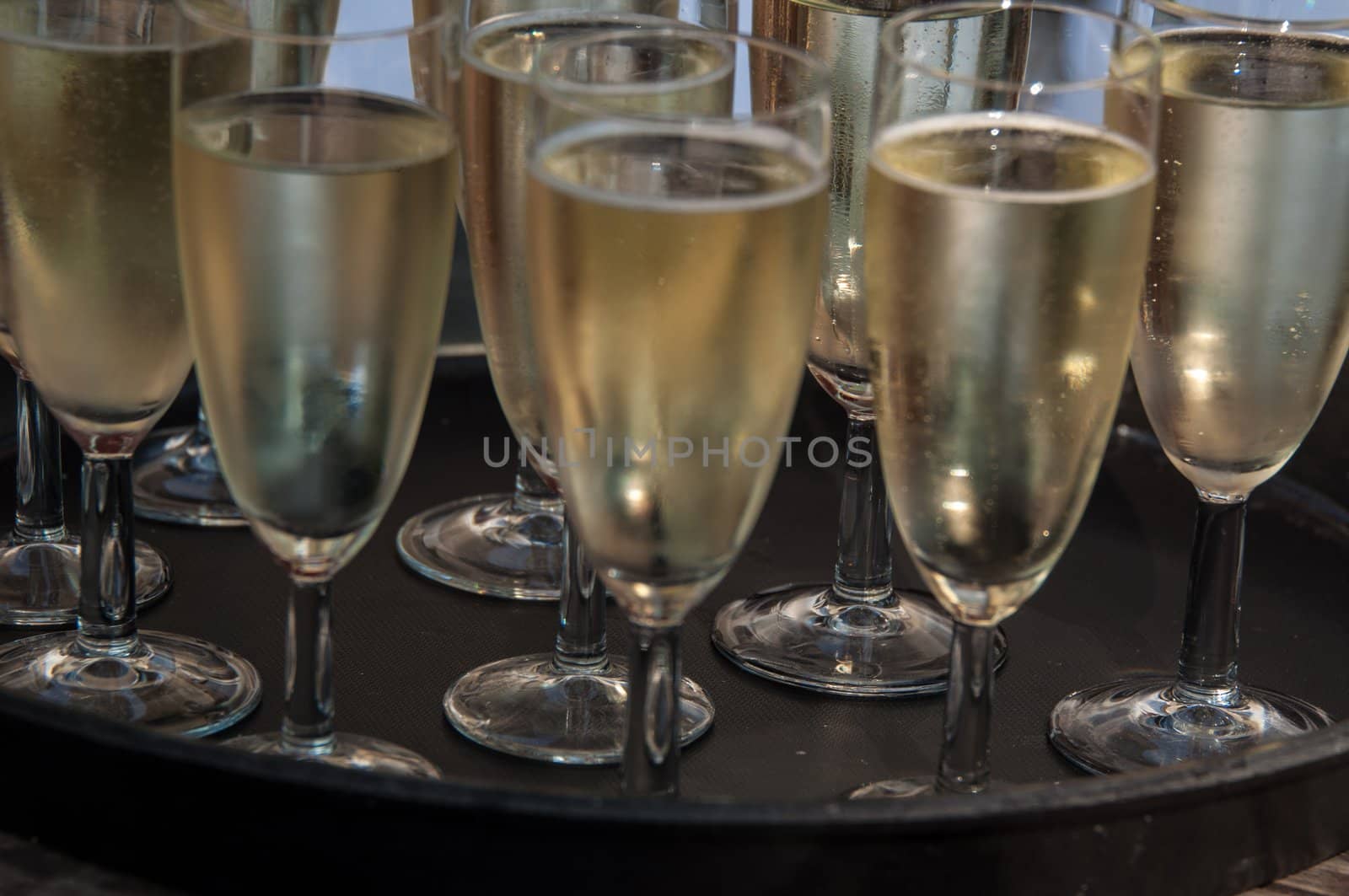 tray of filled champagne glasses ready for serving