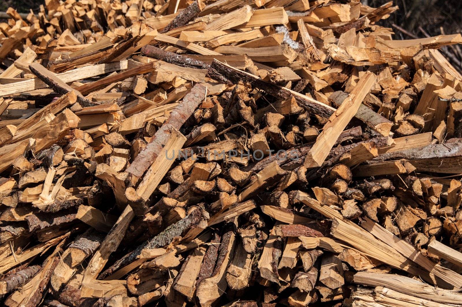 split wood pile in forest with wood in different lengths