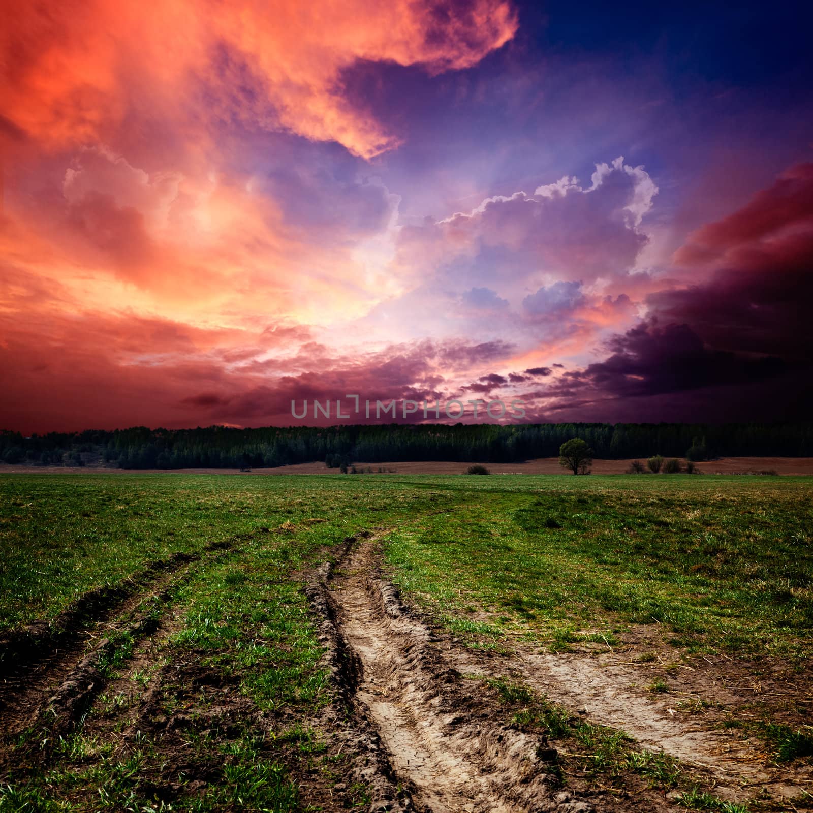 Countryside landscape with dirt  road