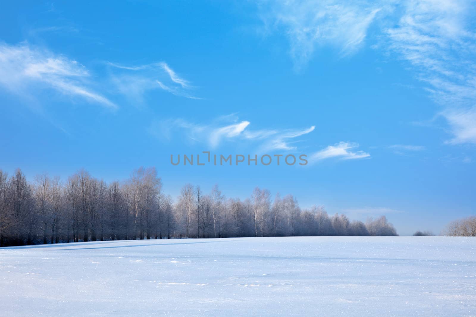 Winter landscape by dimol