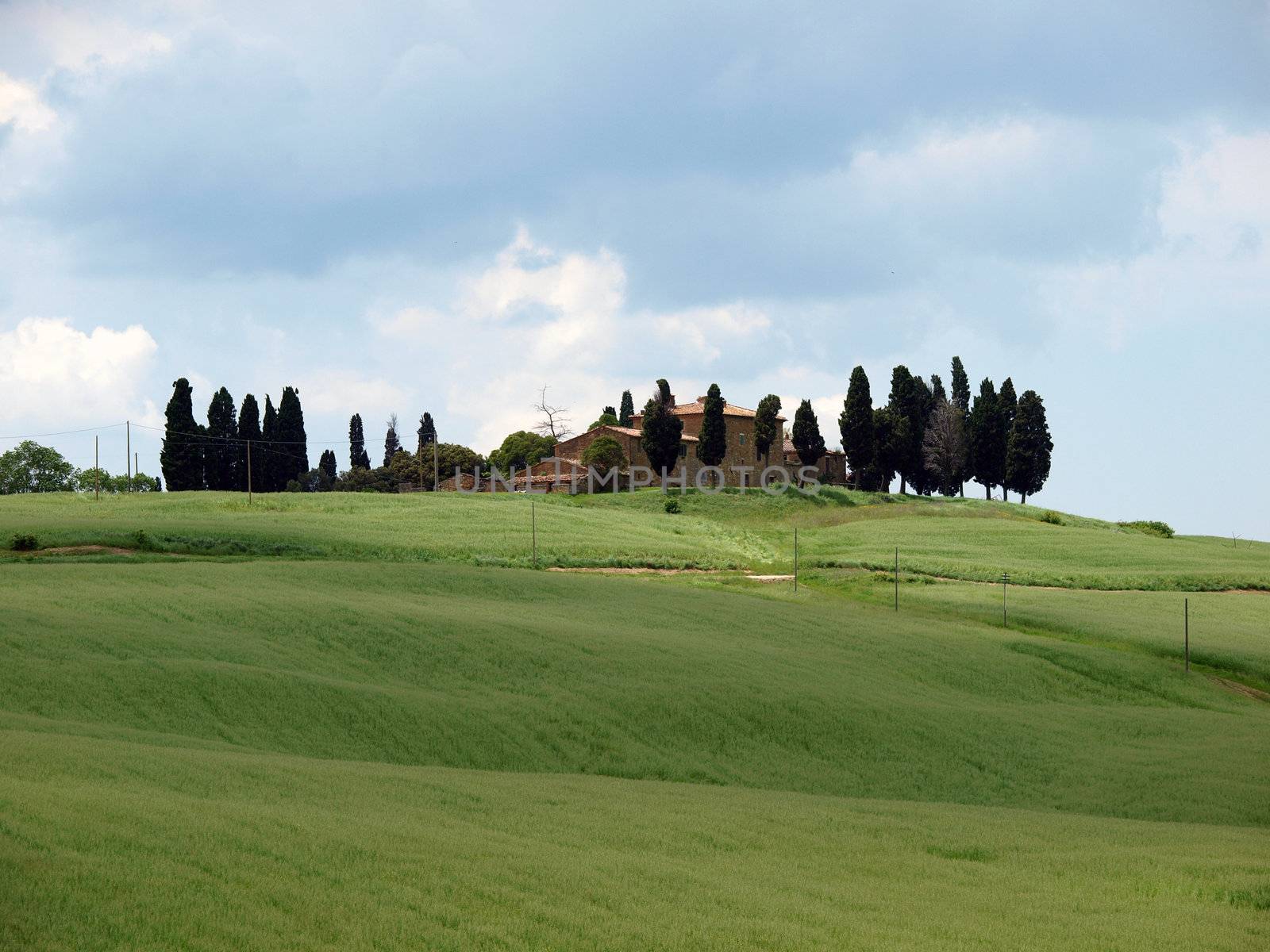 The landscape of the Val d’Orcia. Tuscany by wjarek