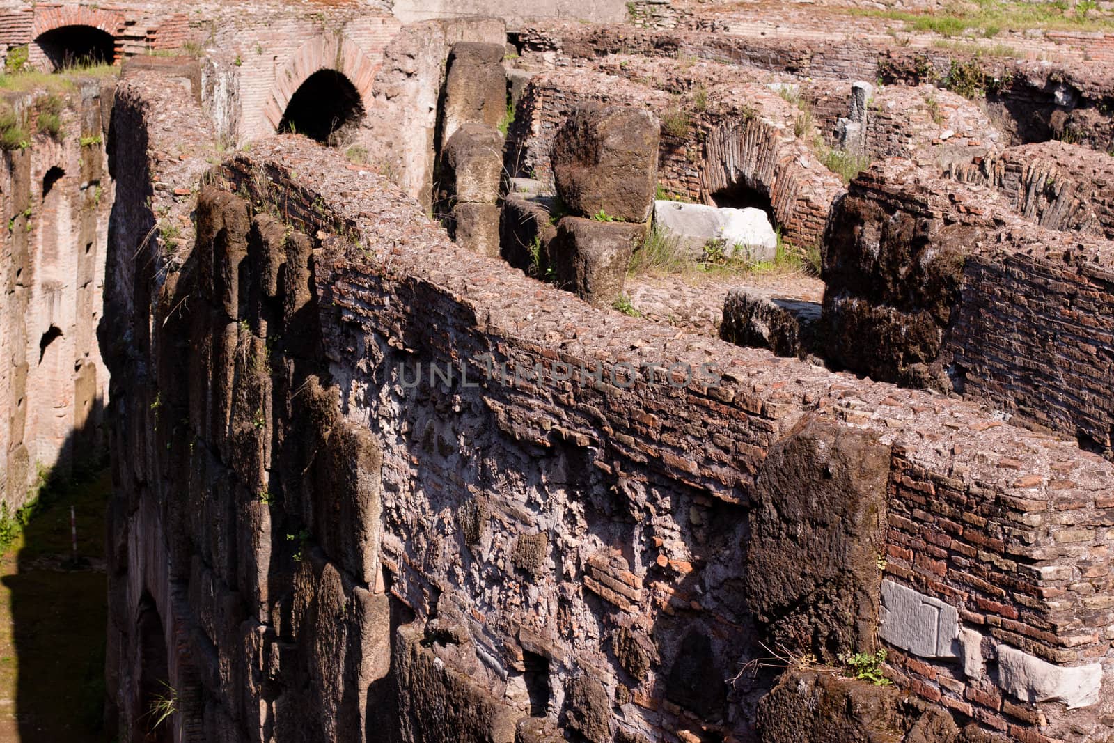 A Coloseum ruins and green grass
