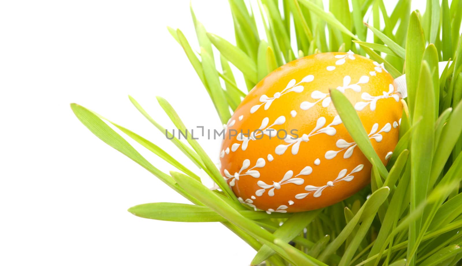 Handmade Orange Easter Painted Egg in Green Grass on White Background