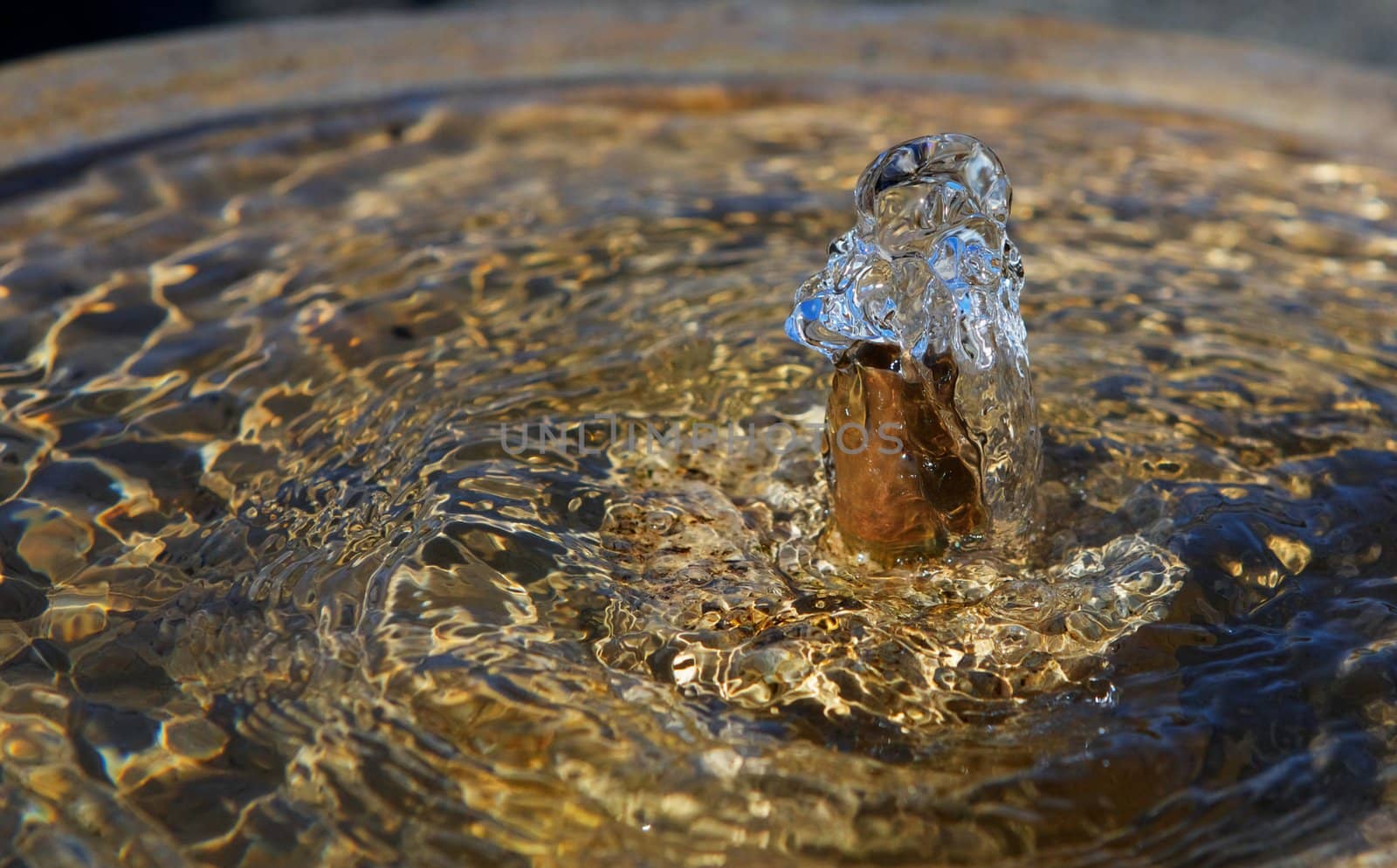 Close up of a small water bubbler on a birdbath fountain