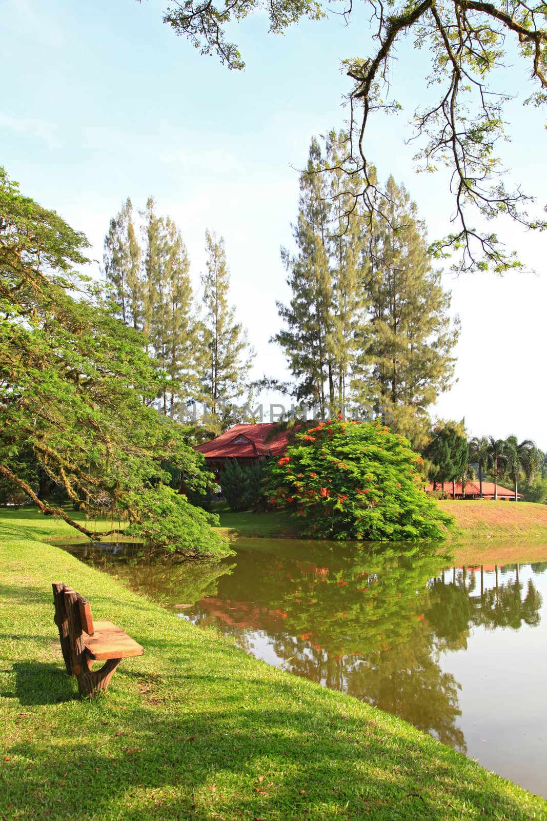 wodden chair at lake garden in taiping malaysia