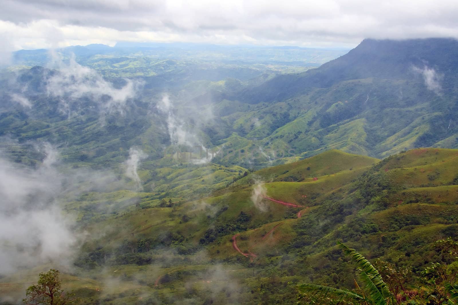 Mist on Mountain at Phu Thub Berg, North of Thailand