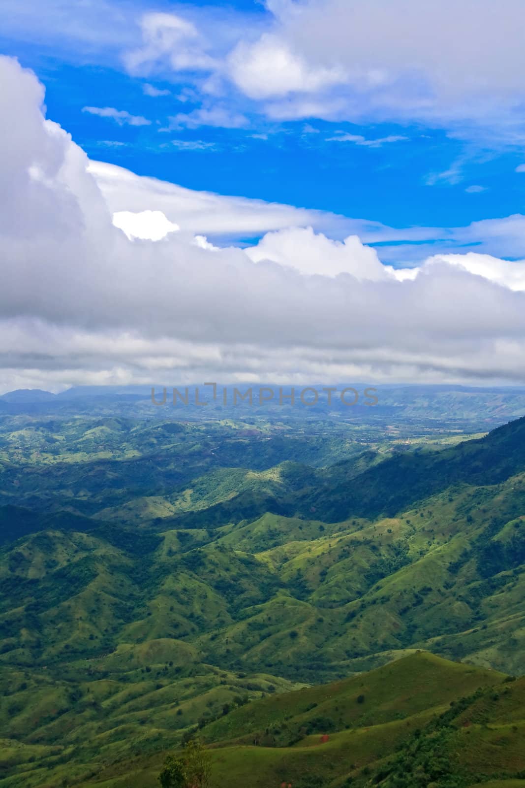 Mounts and jungle with mist in foggy weather in North of Thailand, Vertical