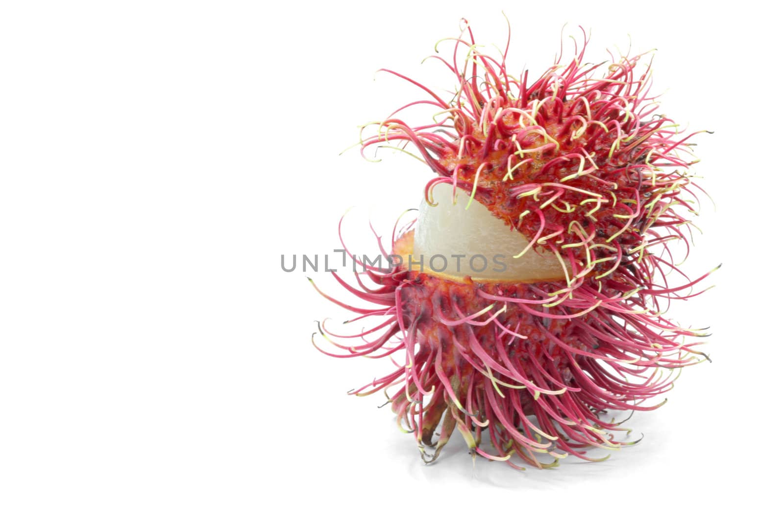 macro shot of peel tropical rambutan fruit on white background with copy space for your text