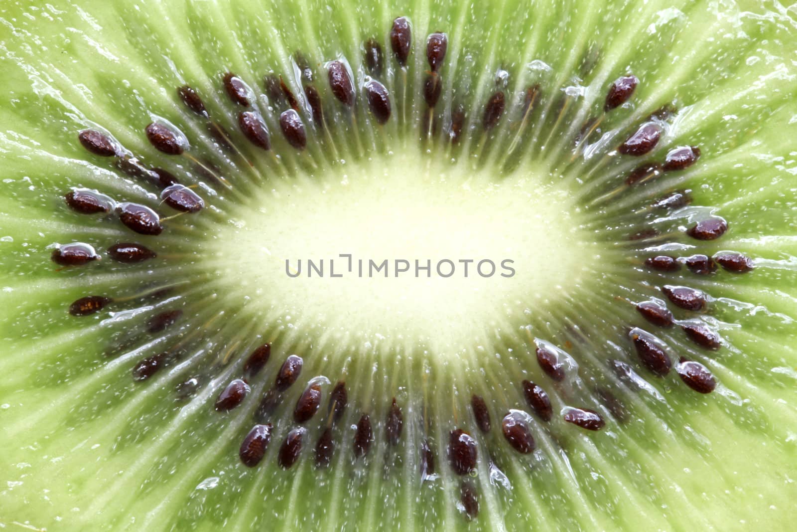 macro shot of Kiwi Fruit using as background for healthy eating Concept
