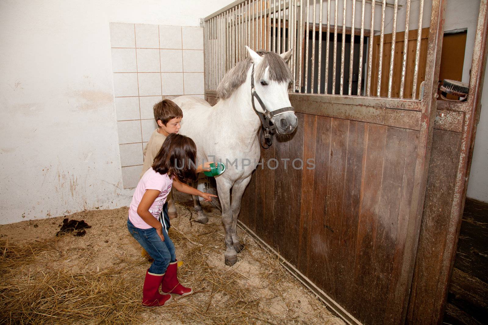 Boy and Girl Grooming a Horse by DashaRosato