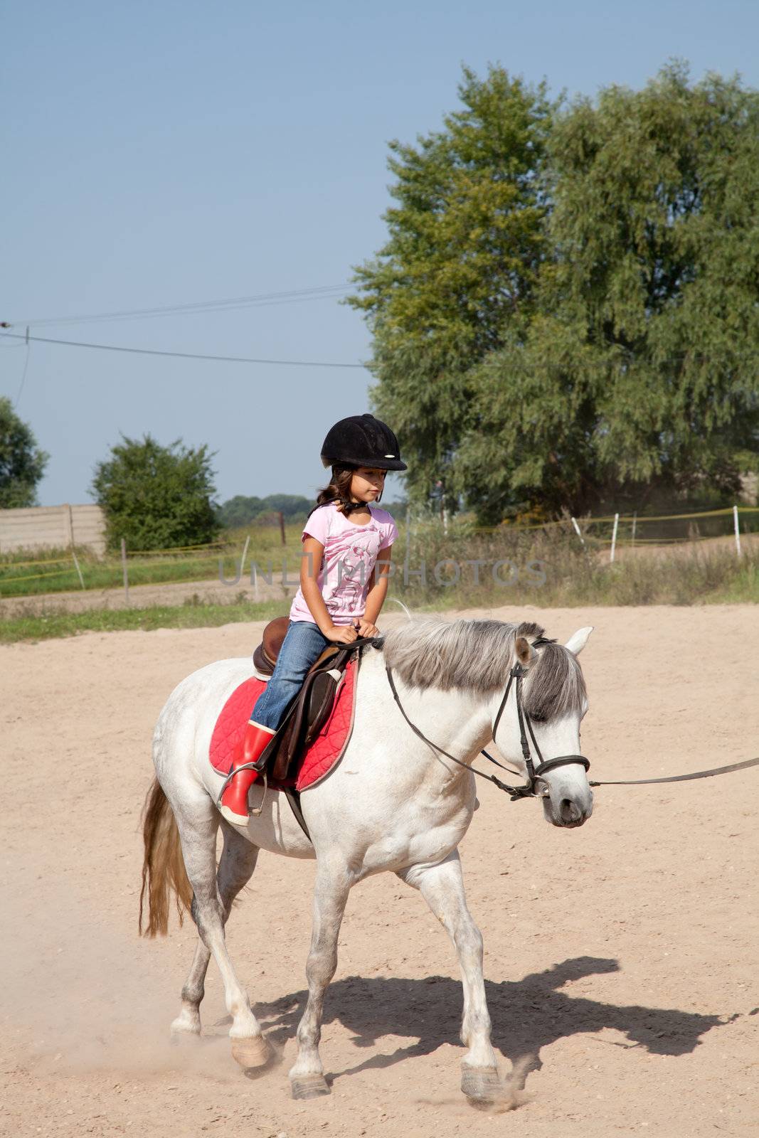 Little Girl Taking Horseback Riding Lessons by DashaRosato