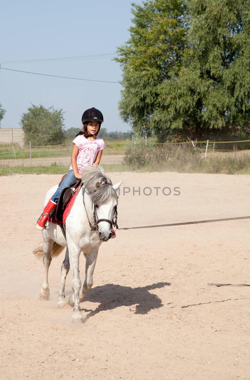 Little Girl Taking Horseback Riding Lessons by DashaRosato