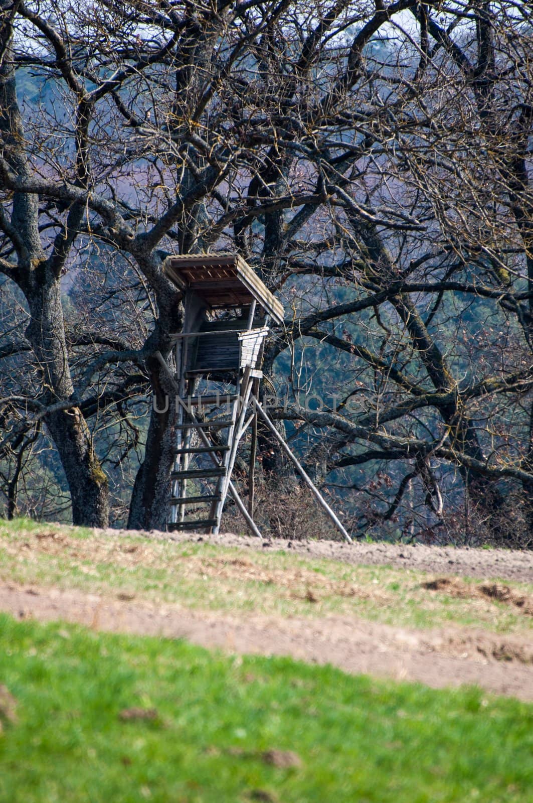 Wooden raised hide for hunting on the edge of a forest