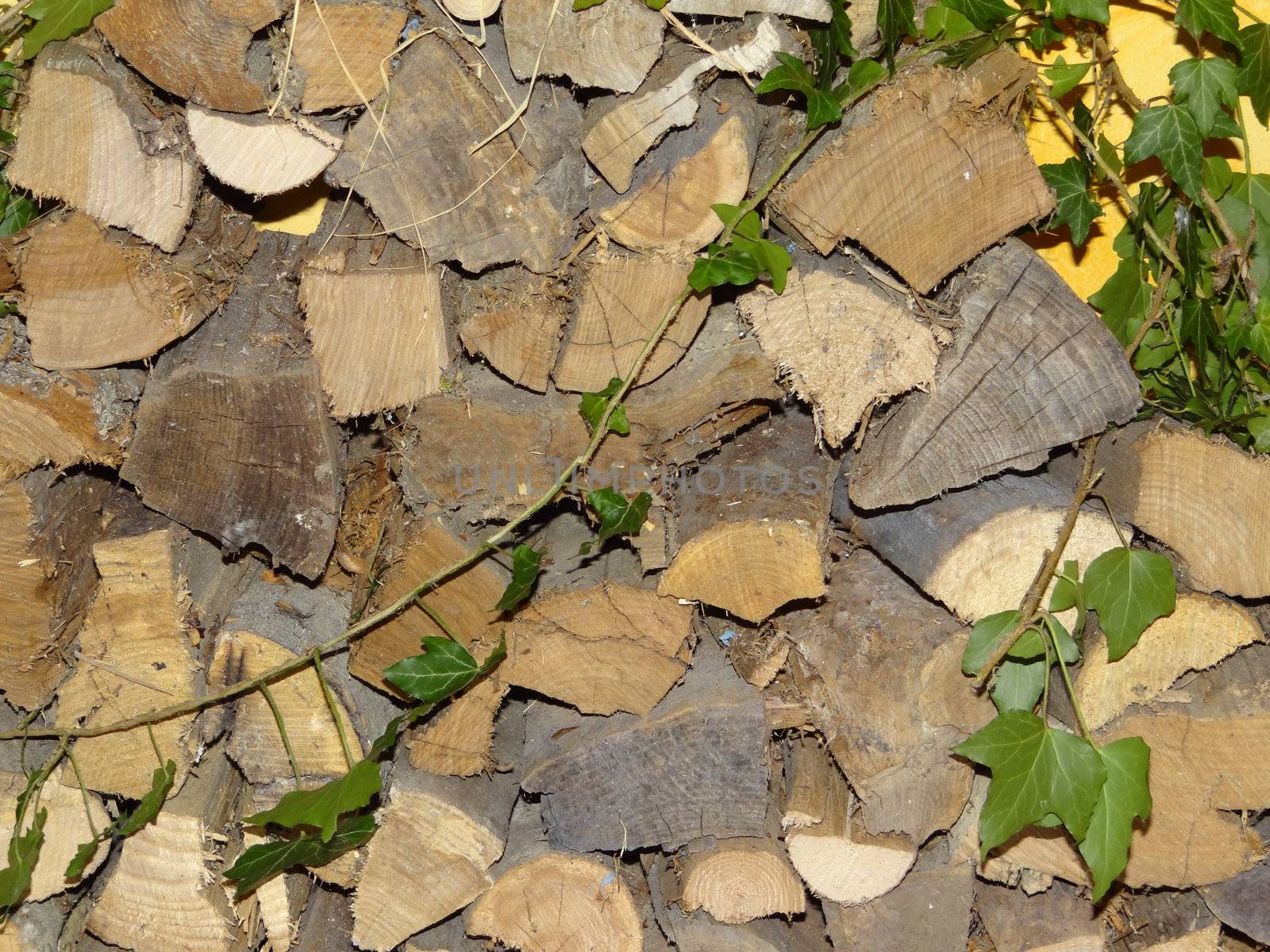 Closeup of a wood pile