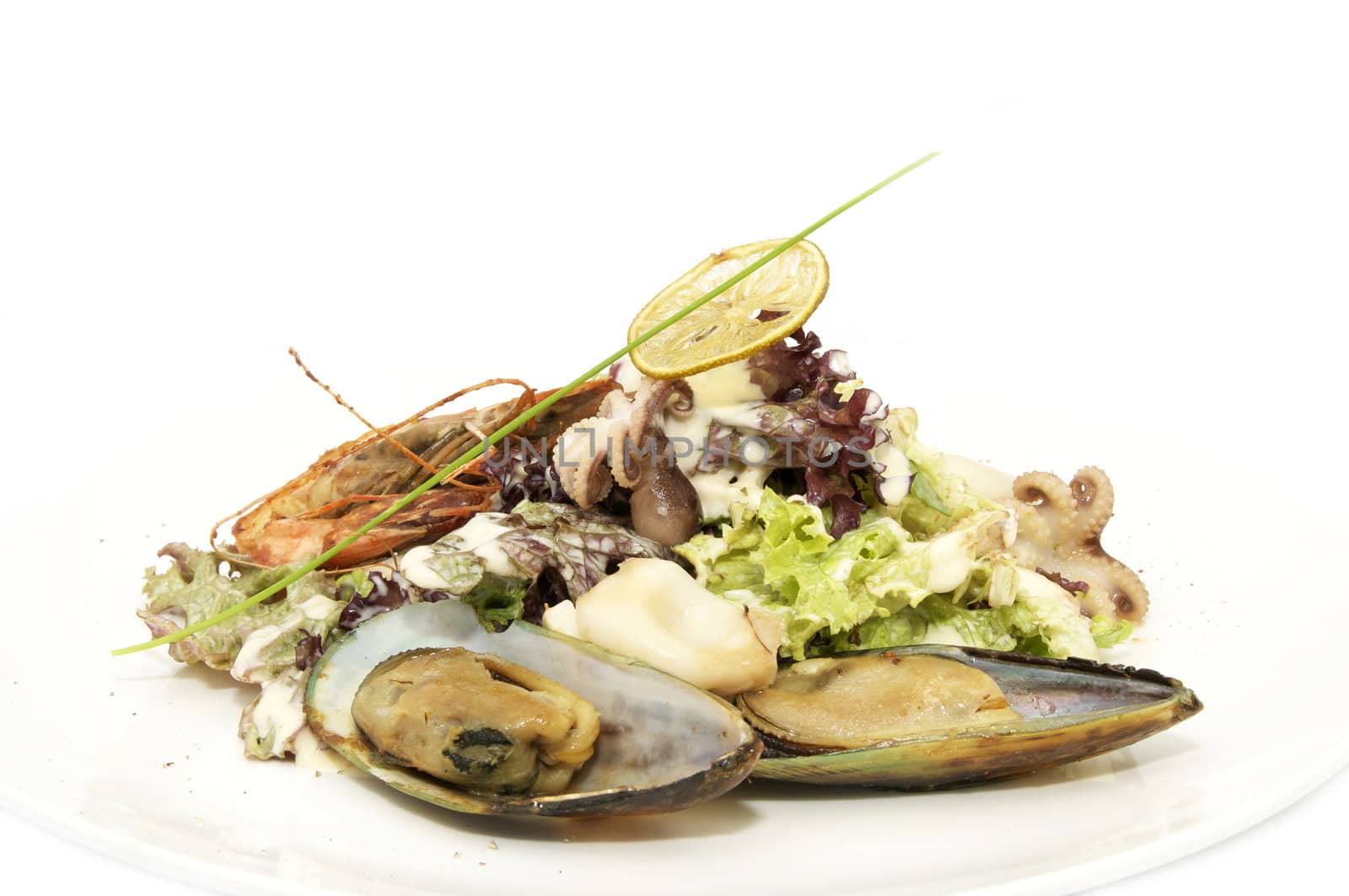 seafood salad on a plate on a white background
